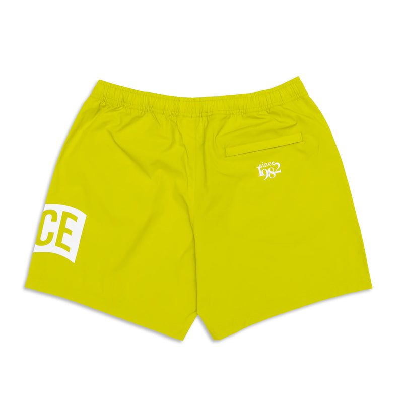 7” Shrek Since Flag Side Print Every Day Shorts