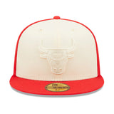 Chicago Bulls Tonal 2-Tone Fitted