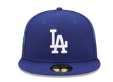 Los Angeles Dodgers Cloud Icon Fitted