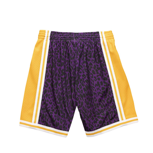Toronto Raptors Mitchell & Ness x Just Don 1995 NBA Draft Hardwood Classics  Authentic Shorts - Purple/Black